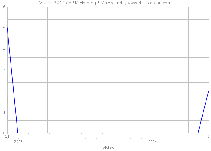 Visitas 2024 de 3M Holding B.V. (Holanda) 