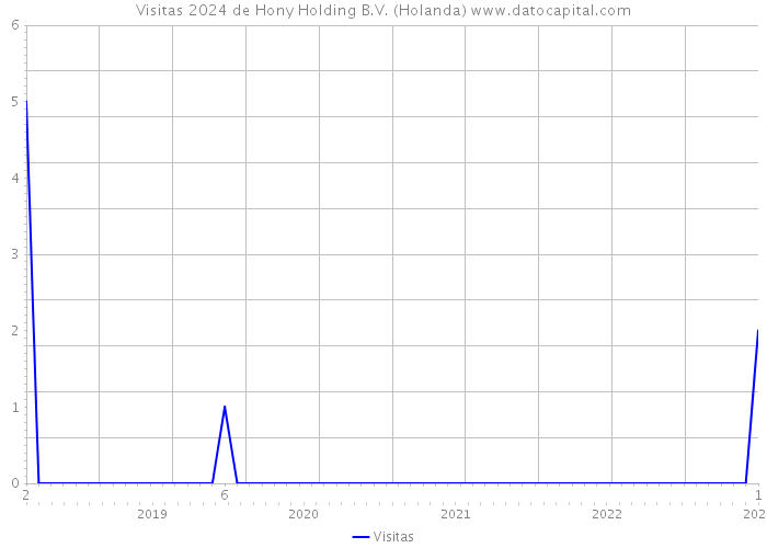Visitas 2024 de Hony Holding B.V. (Holanda) 