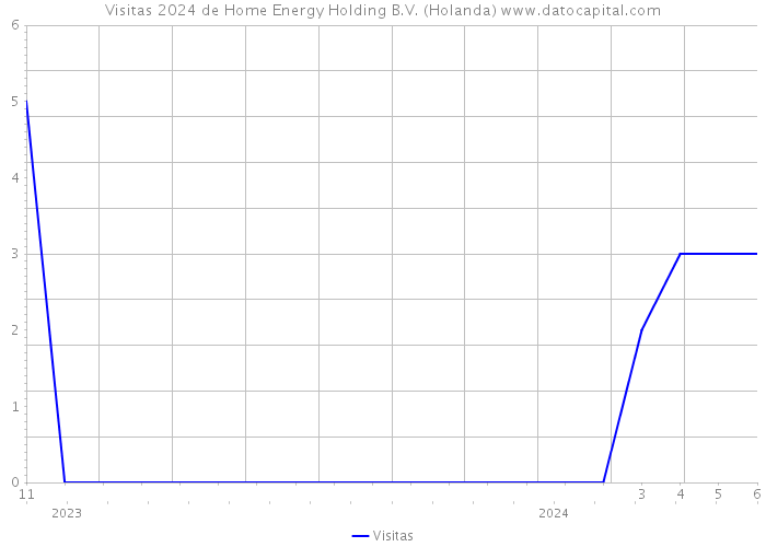 Visitas 2024 de Home Energy Holding B.V. (Holanda) 