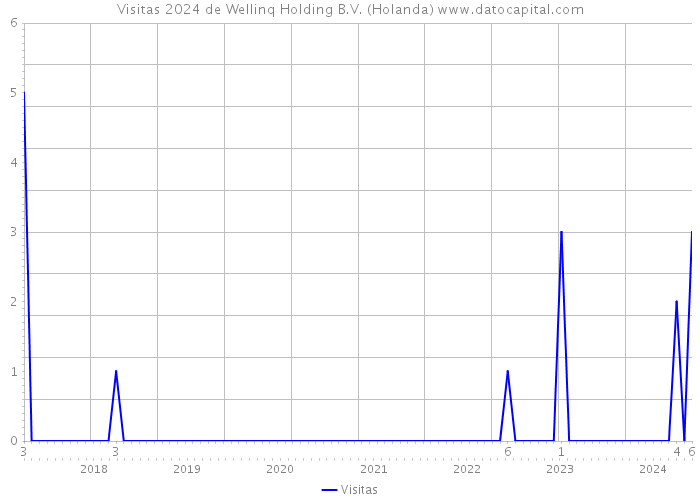 Visitas 2024 de Wellinq Holding B.V. (Holanda) 