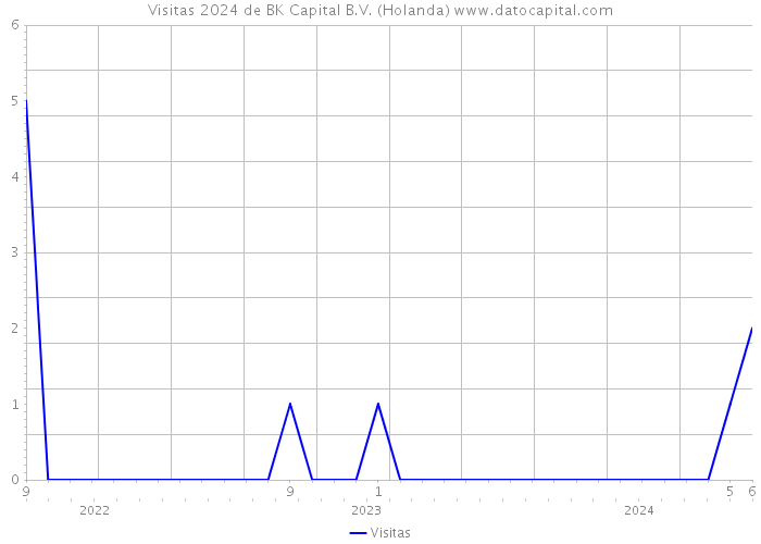 Visitas 2024 de BK Capital B.V. (Holanda) 