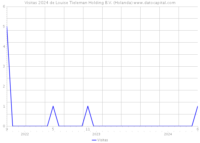 Visitas 2024 de Louise Tieleman Holding B.V. (Holanda) 