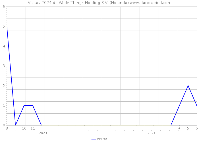 Visitas 2024 de Wilde Things Holding B.V. (Holanda) 