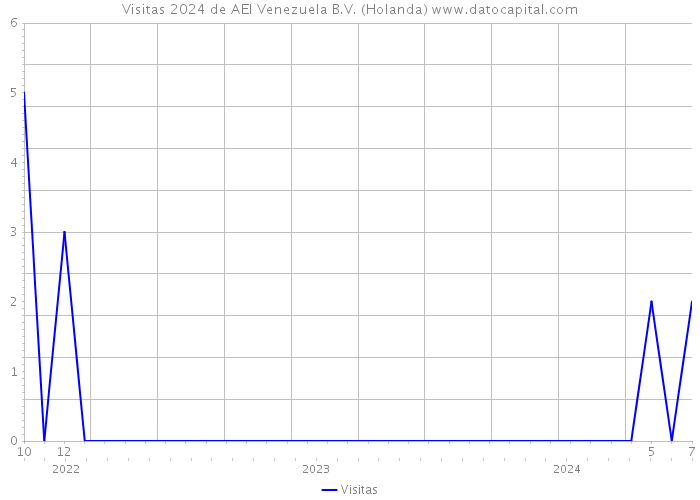 Visitas 2024 de AEI Venezuela B.V. (Holanda) 