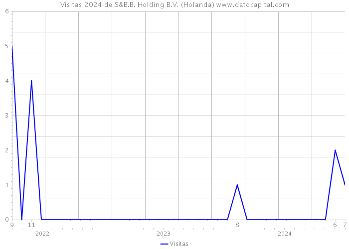 Visitas 2024 de S&B.B. Holding B.V. (Holanda) 