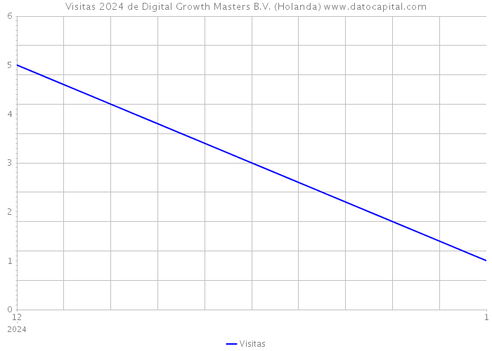 Visitas 2024 de Digital Growth Masters B.V. (Holanda) 