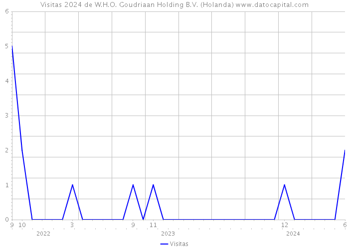 Visitas 2024 de W.H.O. Goudriaan Holding B.V. (Holanda) 