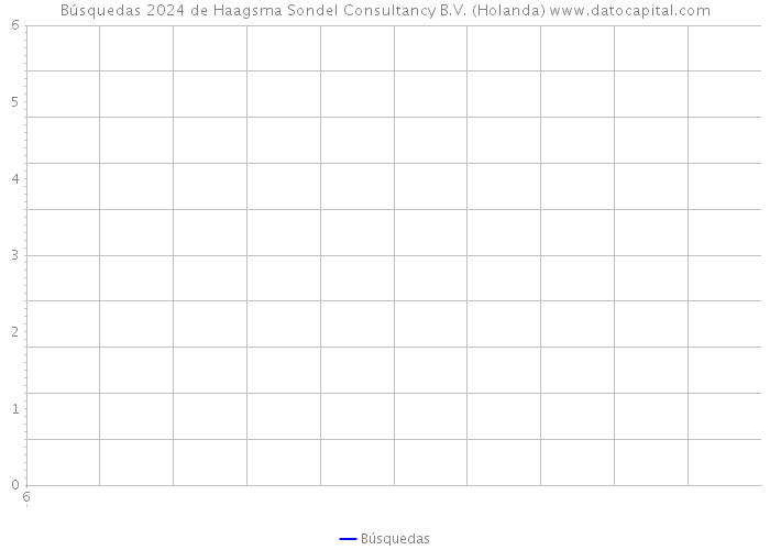 Búsquedas 2024 de Haagsma Sondel Consultancy B.V. (Holanda) 