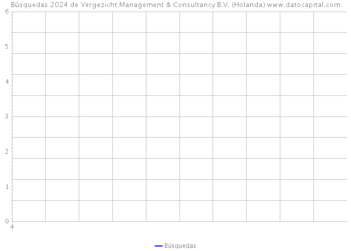 Búsquedas 2024 de Vergezicht Management & Consultancy B.V. (Holanda) 