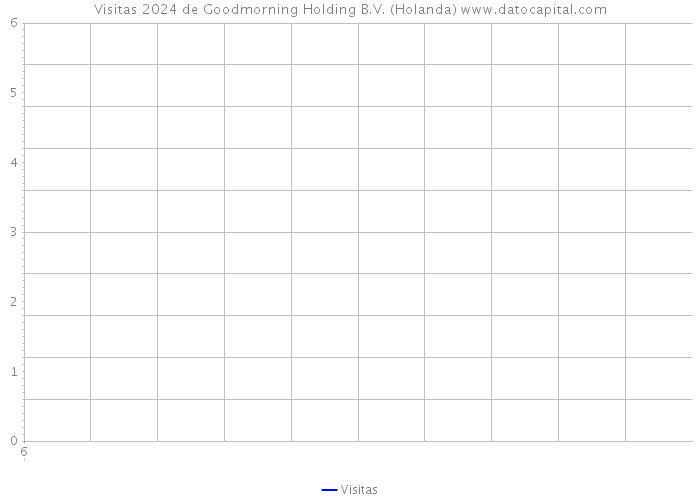 Visitas 2024 de Goodmorning Holding B.V. (Holanda) 