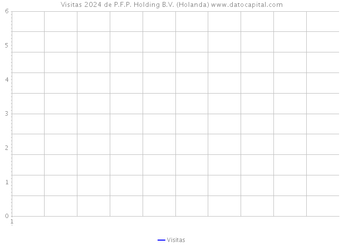 Visitas 2024 de P.F.P. Holding B.V. (Holanda) 