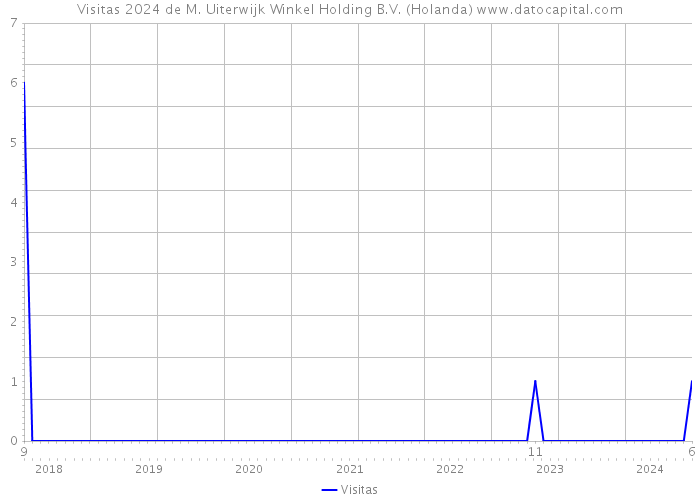 Visitas 2024 de M. Uiterwijk Winkel Holding B.V. (Holanda) 