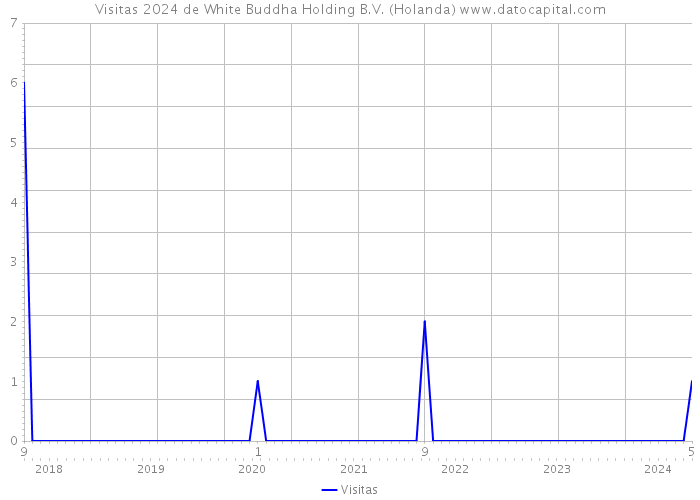 Visitas 2024 de White Buddha Holding B.V. (Holanda) 