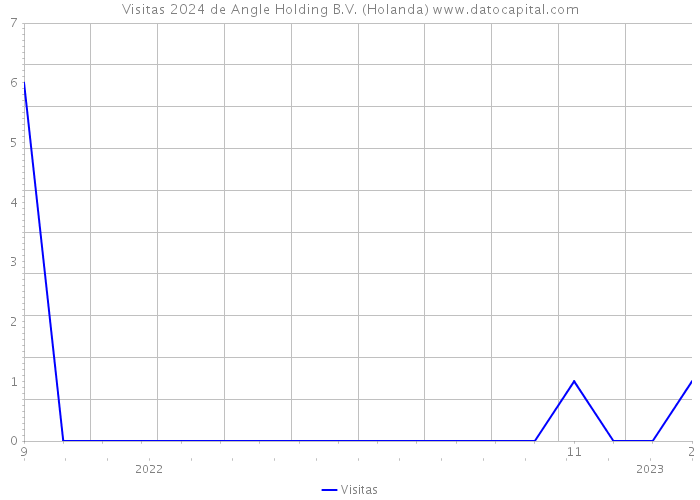 Visitas 2024 de Angle Holding B.V. (Holanda) 