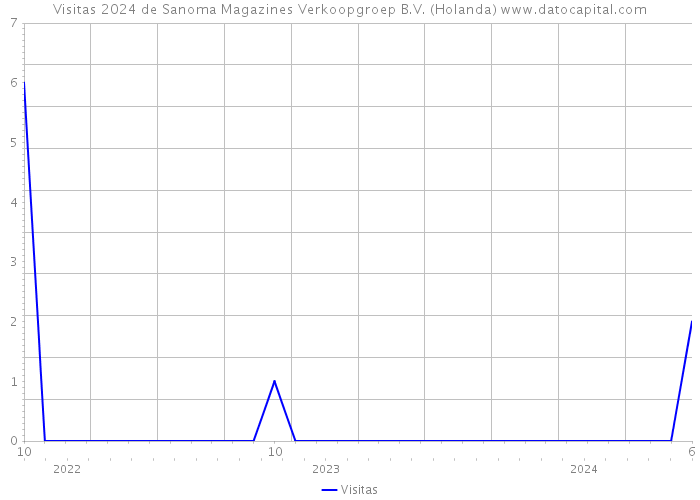 Visitas 2024 de Sanoma Magazines Verkoopgroep B.V. (Holanda) 