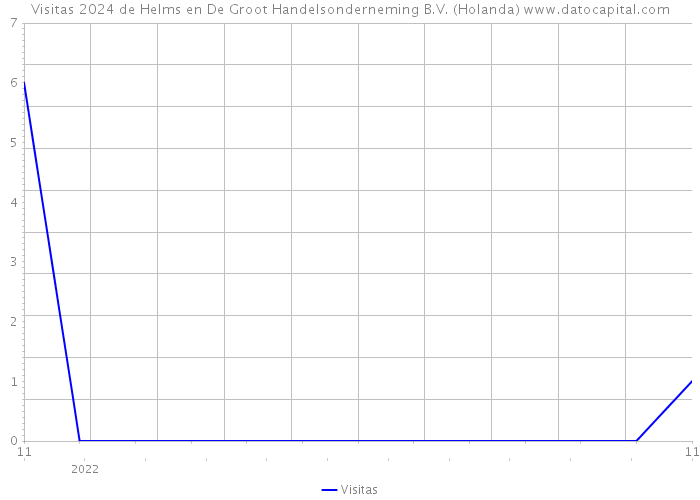 Visitas 2024 de Helms en De Groot Handelsonderneming B.V. (Holanda) 