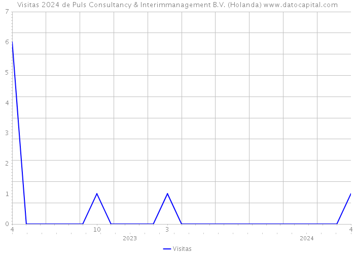 Visitas 2024 de Puls Consultancy & Interimmanagement B.V. (Holanda) 