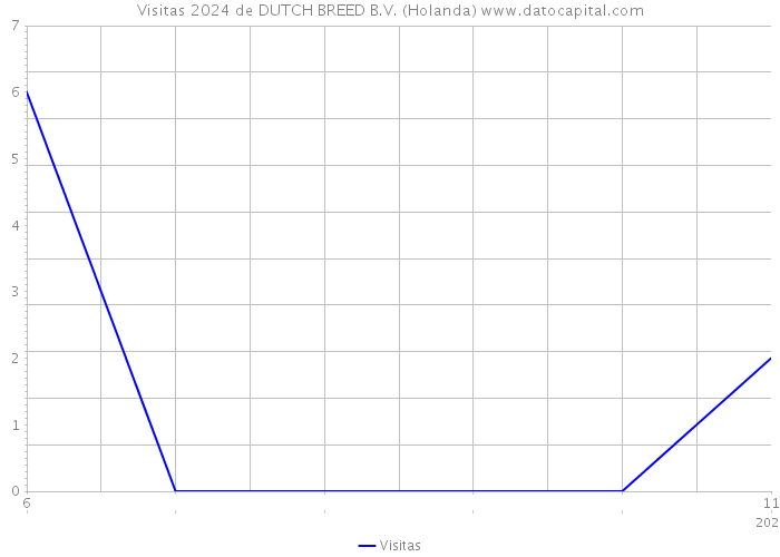 Visitas 2024 de DUTCH BREED B.V. (Holanda) 