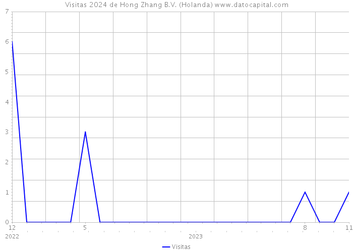 Visitas 2024 de Hong Zhang B.V. (Holanda) 
