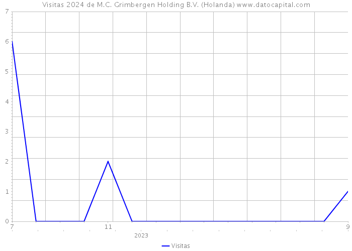 Visitas 2024 de M.C. Grimbergen Holding B.V. (Holanda) 