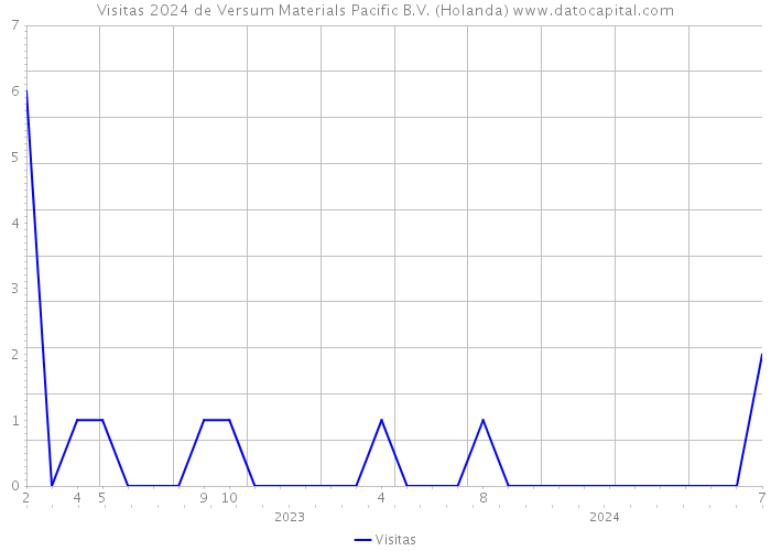 Visitas 2024 de Versum Materials Pacific B.V. (Holanda) 
