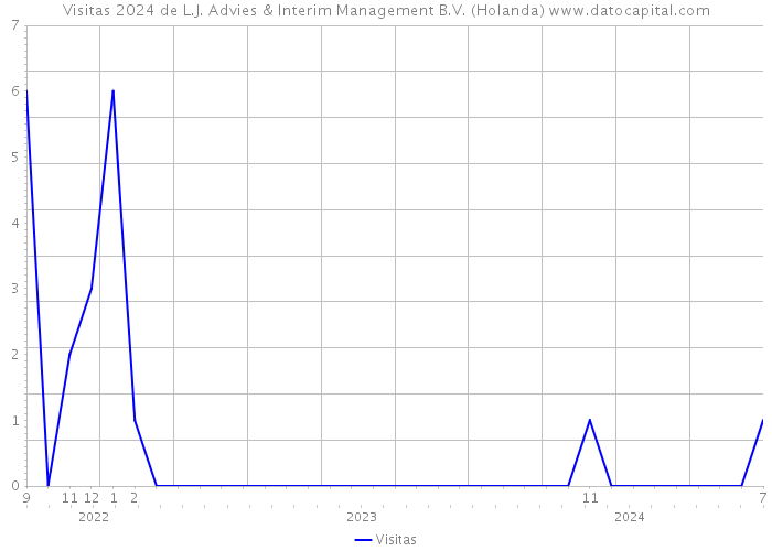 Visitas 2024 de L.J. Advies & Interim Management B.V. (Holanda) 