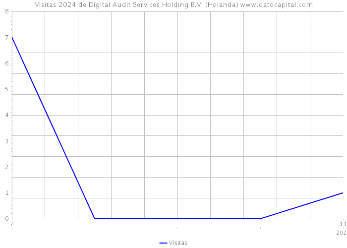 Visitas 2024 de Digital Audit Services Holding B.V. (Holanda) 