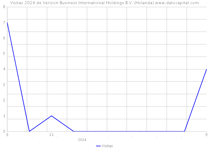 Visitas 2024 de Verizon Business International Holdings B.V. (Holanda) 