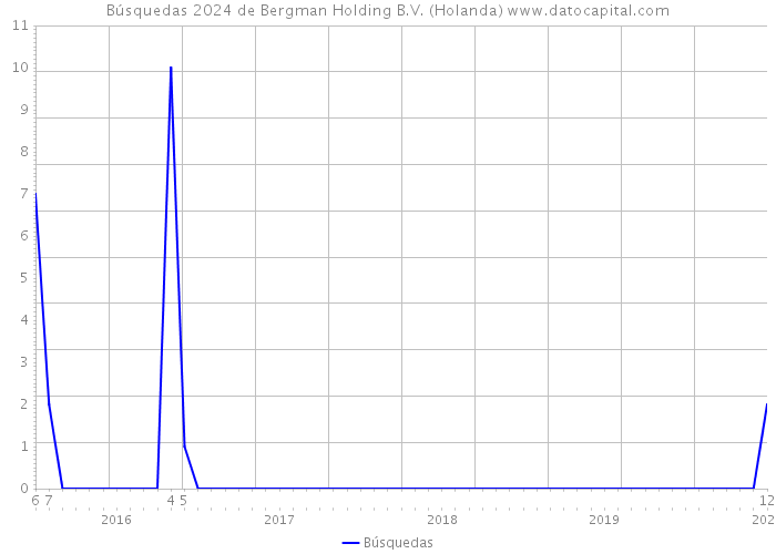 Búsquedas 2024 de Bergman Holding B.V. (Holanda) 