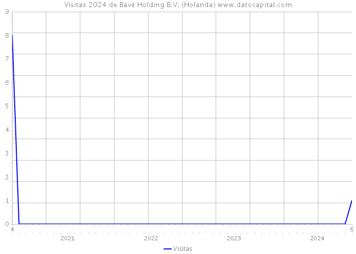 Visitas 2024 de Bavé Holding B.V. (Holanda) 