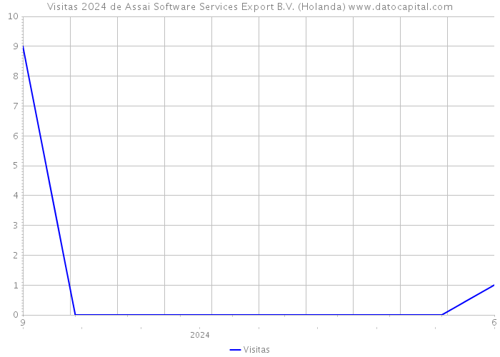 Visitas 2024 de Assai Software Services Export B.V. (Holanda) 