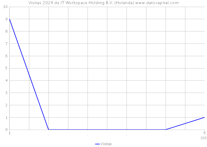 Visitas 2024 de IT Workspace Holding B.V. (Holanda) 