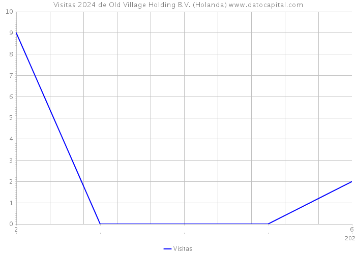 Visitas 2024 de Old Village Holding B.V. (Holanda) 