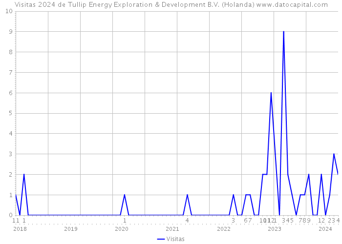 Visitas 2024 de Tullip Energy Exploration & Development B.V. (Holanda) 