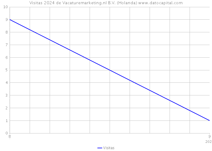 Visitas 2024 de Vacaturemarketing.nl B.V. (Holanda) 