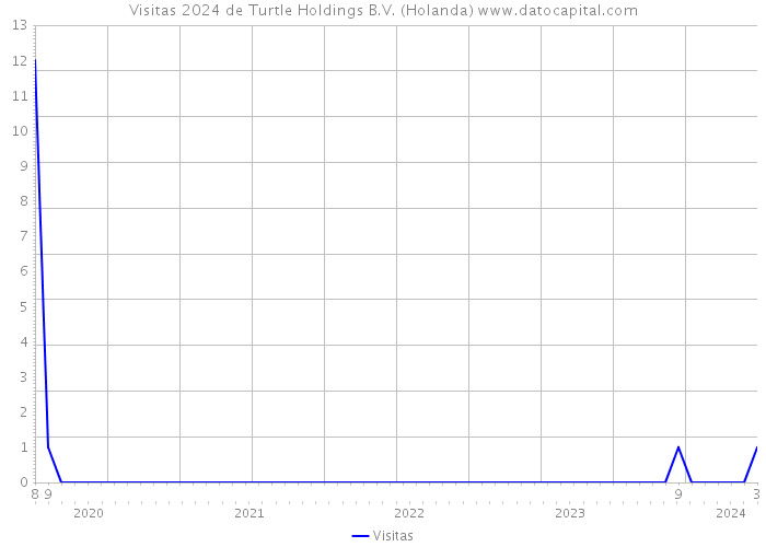Visitas 2024 de Turtle Holdings B.V. (Holanda) 