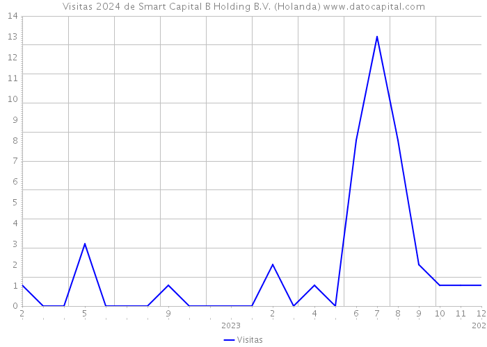 Visitas 2024 de Smart Capital B Holding B.V. (Holanda) 