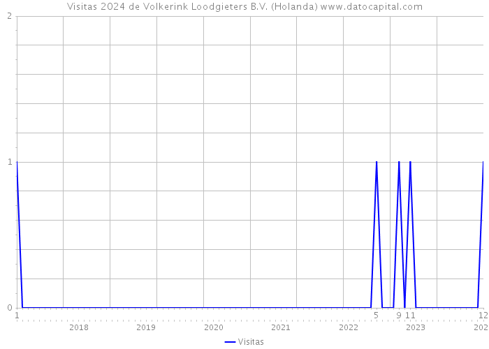 Visitas 2024 de Volkerink Loodgieters B.V. (Holanda) 