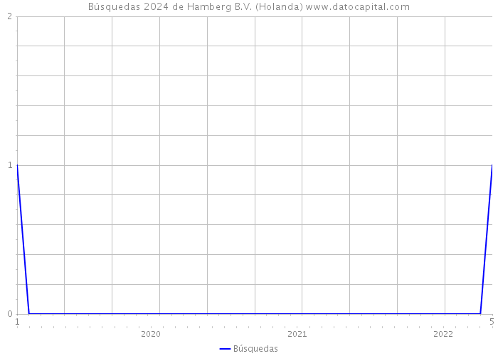 Búsquedas 2024 de Hamberg B.V. (Holanda) 