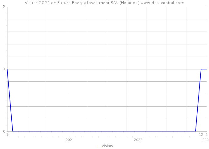Visitas 2024 de Future Energy Investment B.V. (Holanda) 