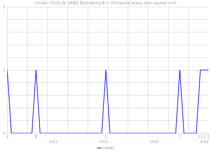 Visitas 2024 de VABO Bestrating B.V. (Holanda) 