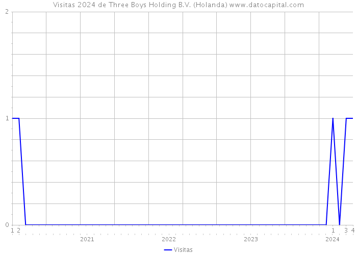 Visitas 2024 de Three Boys Holding B.V. (Holanda) 