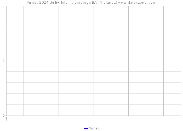 Visitas 2024 de B-Hold Halderberge B.V. (Holanda) 