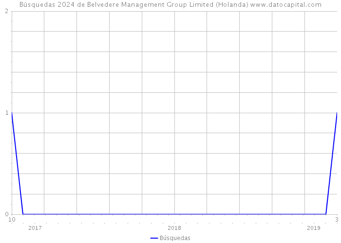 Búsquedas 2024 de Belvedere Management Group Limited (Holanda) 
