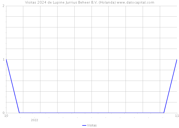 Visitas 2024 de Lupine Jurrius Beheer B.V. (Holanda) 