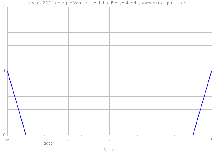 Visitas 2024 de Agile Ventures Holding B.V. (Holanda) 