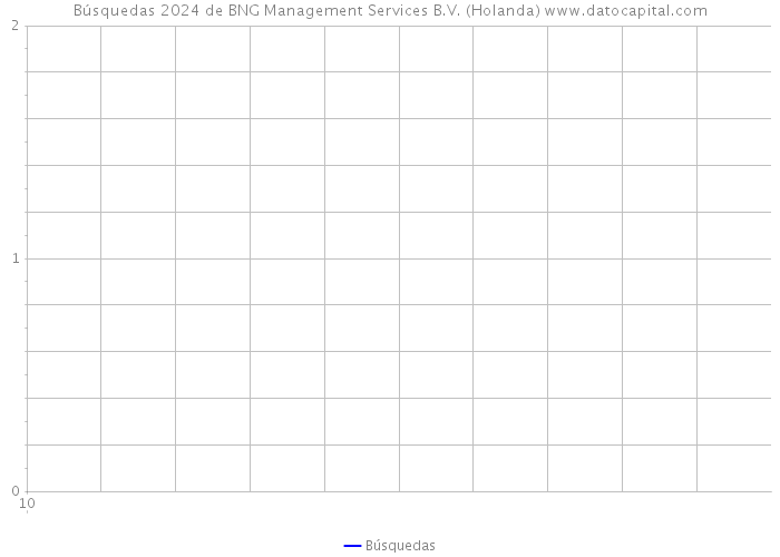 Búsquedas 2024 de BNG Management Services B.V. (Holanda) 