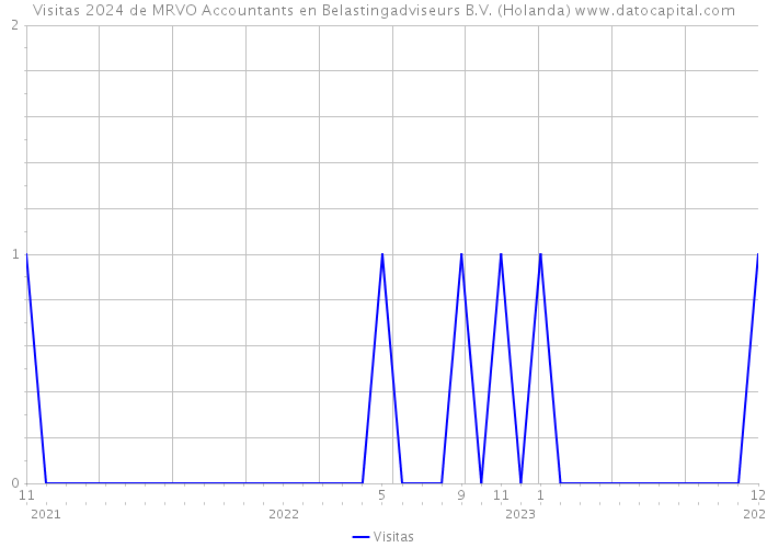 Visitas 2024 de MRVO Accountants en Belastingadviseurs B.V. (Holanda) 
