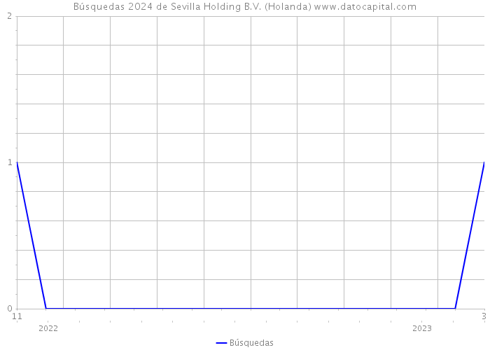 Búsquedas 2024 de Sevilla Holding B.V. (Holanda) 