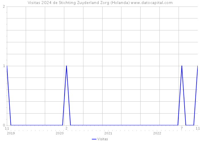 Visitas 2024 de Stichting Zuyderland Zorg (Holanda) 